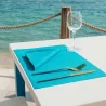 Tovagliette Carta 33x40 cm Celesti 500 pz DT