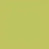 Tovaglie Airlaid Verde Kiwi 100x100 cm 20 pz RO.IAL