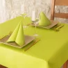 Tovaglie Airlaid Verde Kiwi 100x100 cm 20 pz RO.IAL