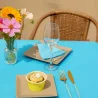 Tovaglia Coprimacchia TNT 100x100 cm Azzurra 100 pz DT