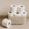 Carta Igienica Save Domestica 4 rt INDUSTRIE CELTEX