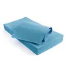 Tovaglia Coprimacchia Tnt Azzurre 100x100 cm 100 pz DT