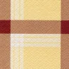 Tovaglia Carta Accoppiata 100x100 cm Galles Champagne 250 pz DT