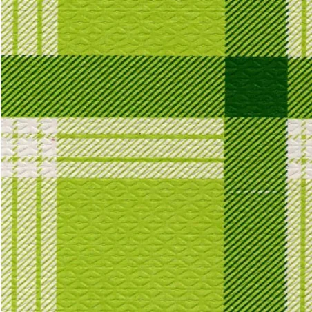 Tovaglia Carta Accoppiata 100x100 cm Galles Verde 250 pz DT