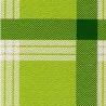 Tovaglia Carta Accoppiata 100x100 cm Galles Verde 250 pz DT