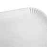 Vassoi Cartone Bianco 10 Kg DT