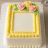 Pizzi Rettangolari Smaltati Bianchi 35x45 cm 100 pz LEONE