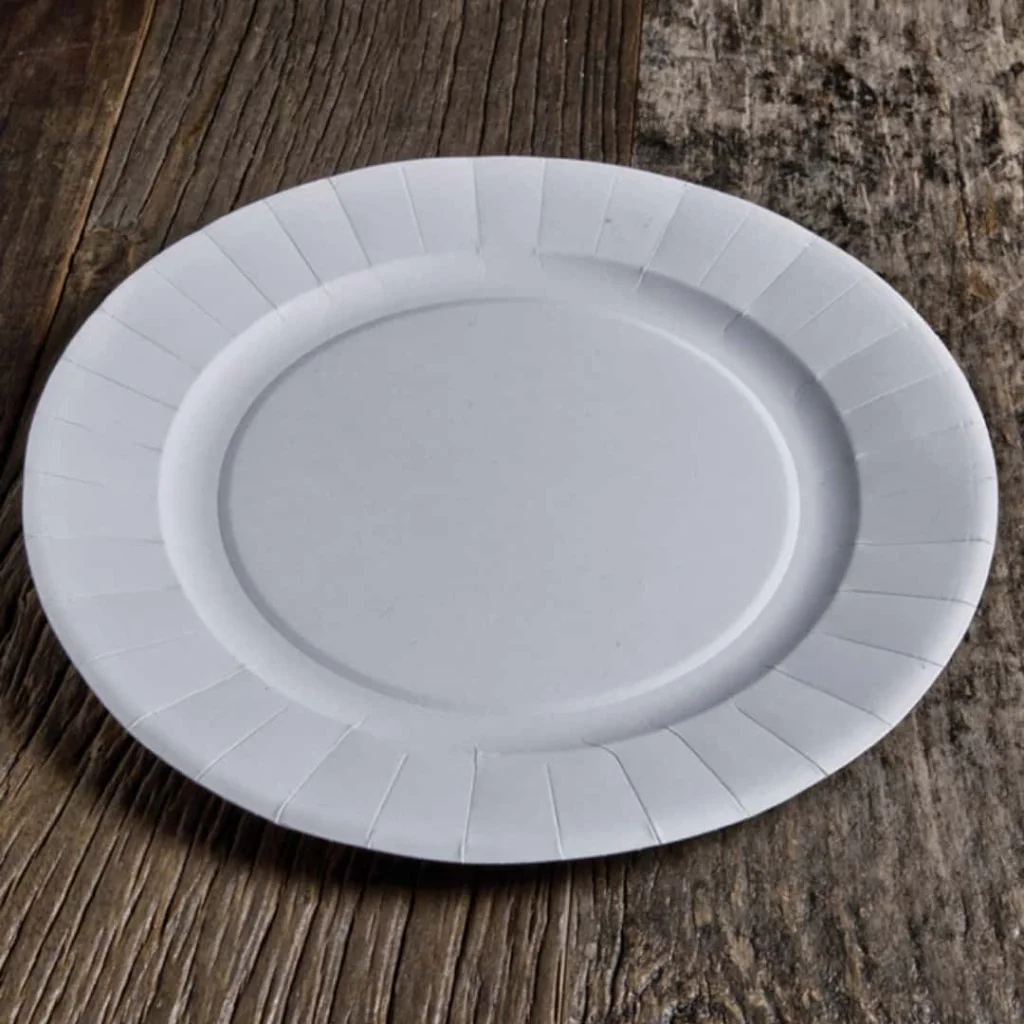 Piatti Cartoncino Bio Ø 29 cm 50 pz USOBIO