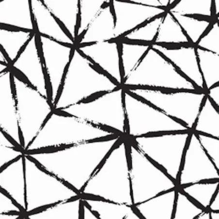 Tovagliolo Spunlaid Black&white 40x40 cm 50 Pz VENTIDUE