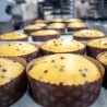 Forme Cottura Panettone Basso 750 gr - 5 pz DT
