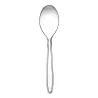 Cucchiaini Plastica Trasparenti 100 pz DT