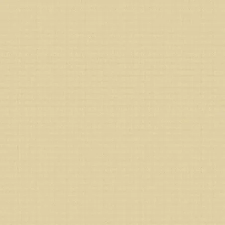 Tovagliolo Spunlaid Vela Oro 40x40 cm 50 pz VENTIDUE