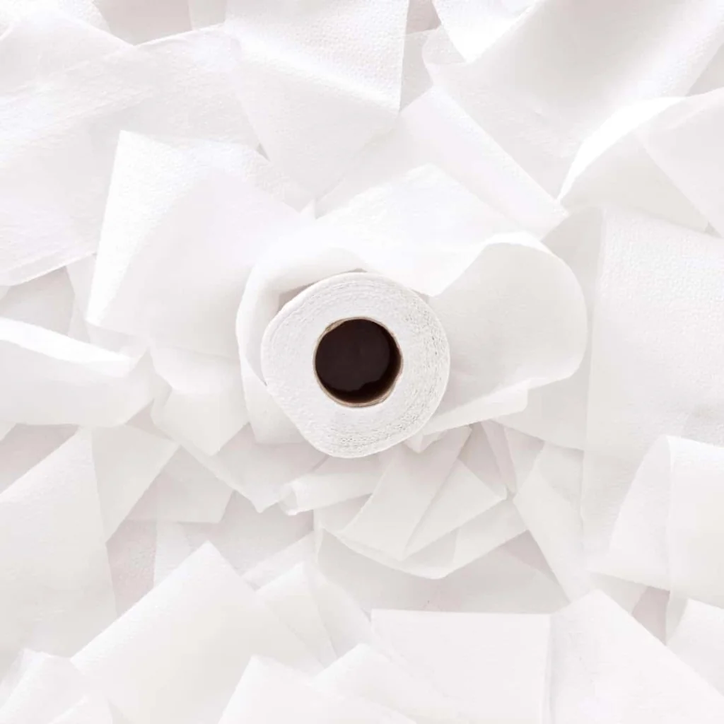 Carta Igienica Jumbo Mini 12 rt REALCARTA