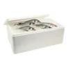 Cassetta Alimenti Polistirolo con Coperchio 54,5x37,5x15 cm DT