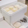 Cassetta Alimenti Polistirolo con Coperchio 54,5x37,5x15 cm DT