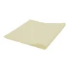 Tovaglia Coprimacchia Tnt Beige 100x100 cm 25 pz DT