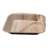 Piatti Quadrati Foglia di Palma 24x24 cm 25 pz USOBIO