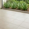 Deo Mix Pro Detersivo Pavimenti Aloe 1 lt DEO MIX