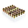 Espositore Gelati Espogel Up Mini 235x360x48 mm SILIKOMART