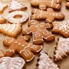 Preparato in Polvere per Gingerbread 400 gr SILIKOMART