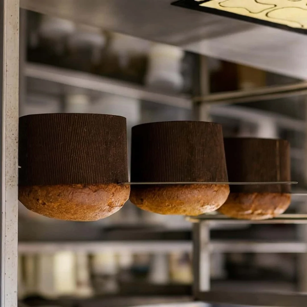 Ago Girapanettone Acciaio 60 cm MARTELLATO