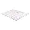 Stampo Silicone Foglia Agrifoglio Chablon Holly SILIKOMART