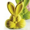 Kit 2 Stampi Termoformati Coniglio di Pasqua Roger PAVONI