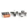 Coppapasta a Stantuffo Forme Assortite 6pz MEDRI