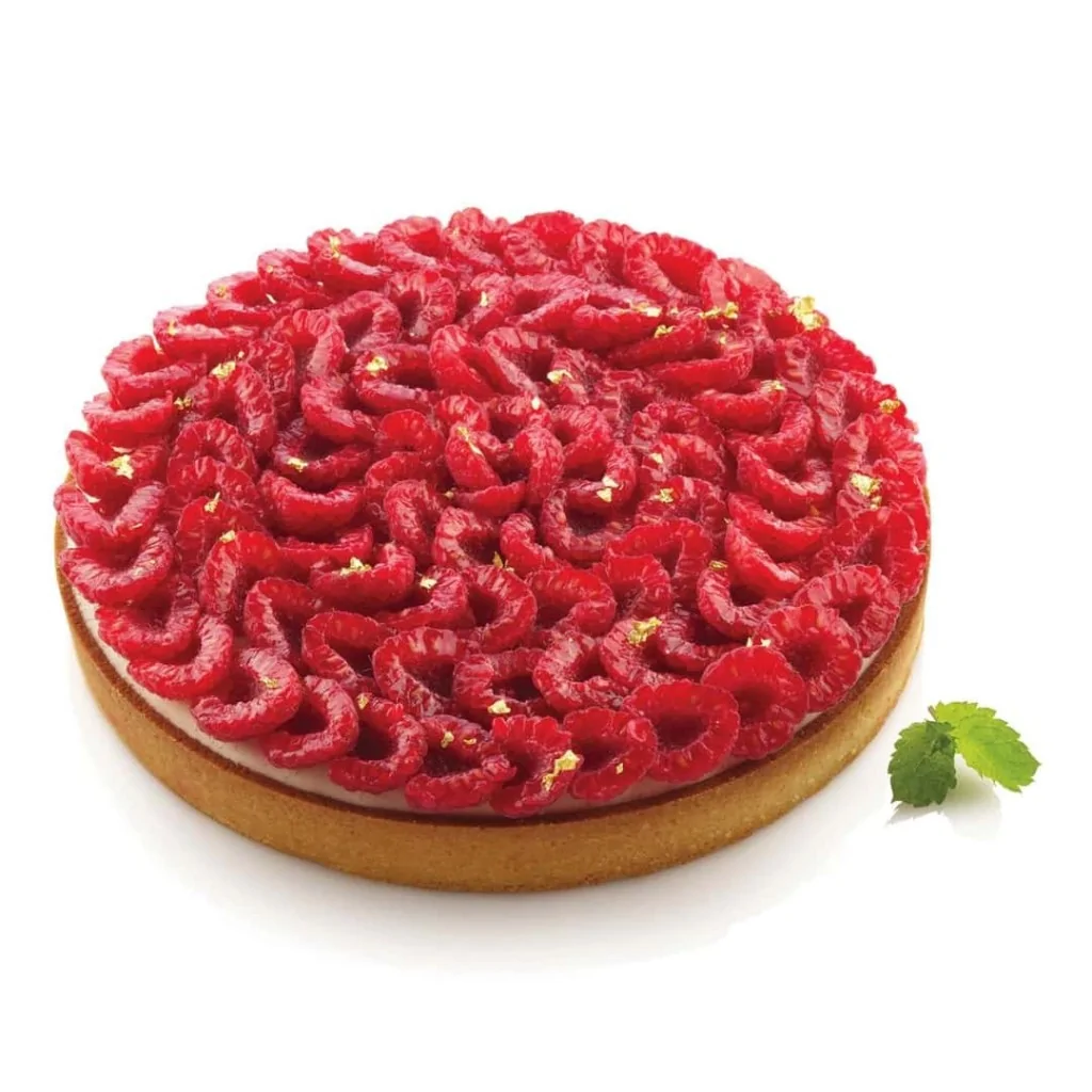 Anello Torta Tarte Ring Tondo ø 21 cm SILIKOMART