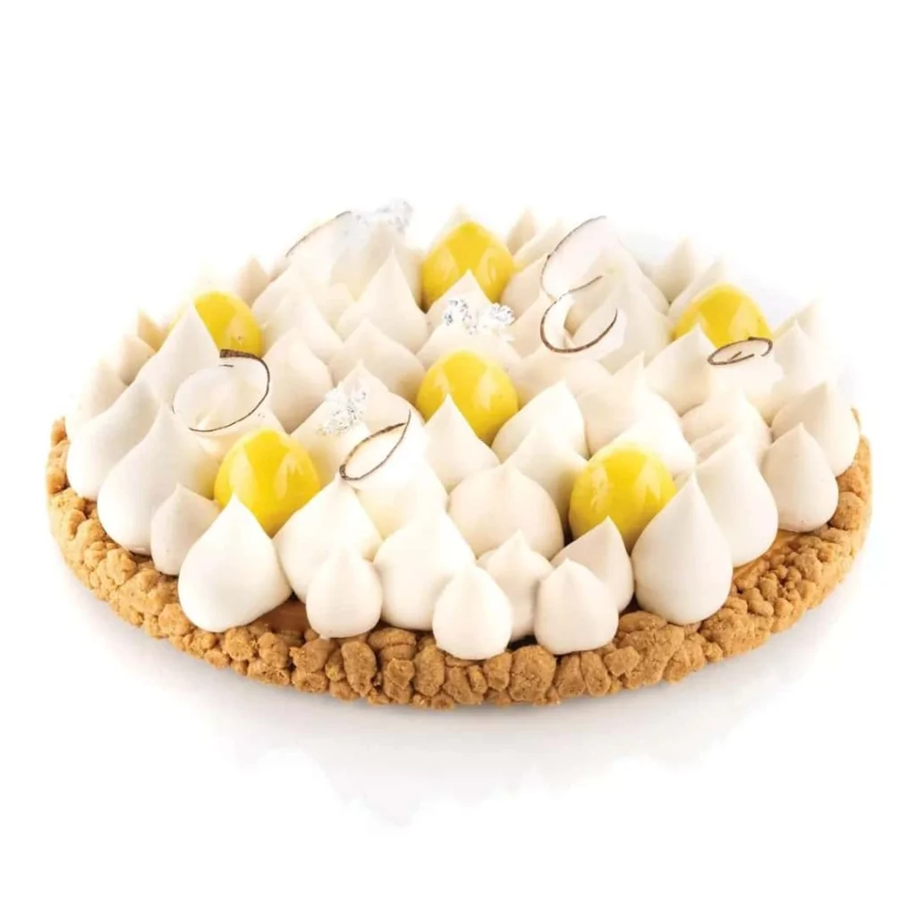 Anello Torta Tarte Ring Tondo ø 19 cm SILIKOMART