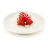 Stampo Silicone Decori Corallo SILIKOMART
