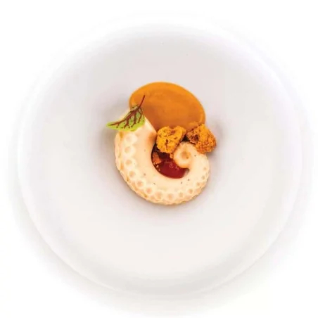 Stampo Silicone Decoro Polpo 20 60x55 h 20 mm SILIKOMART