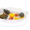 Stampo Silicone N° 24 Decori Foglie Foresta 66x30 h 1mm