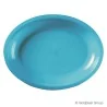 Piatto Ovale Round Turchese 31,5 cm 10 pz GOLD PLAST