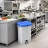 Pattumiera Pedale Binny con Coperchio Blu 50 lt IPC TOOLS