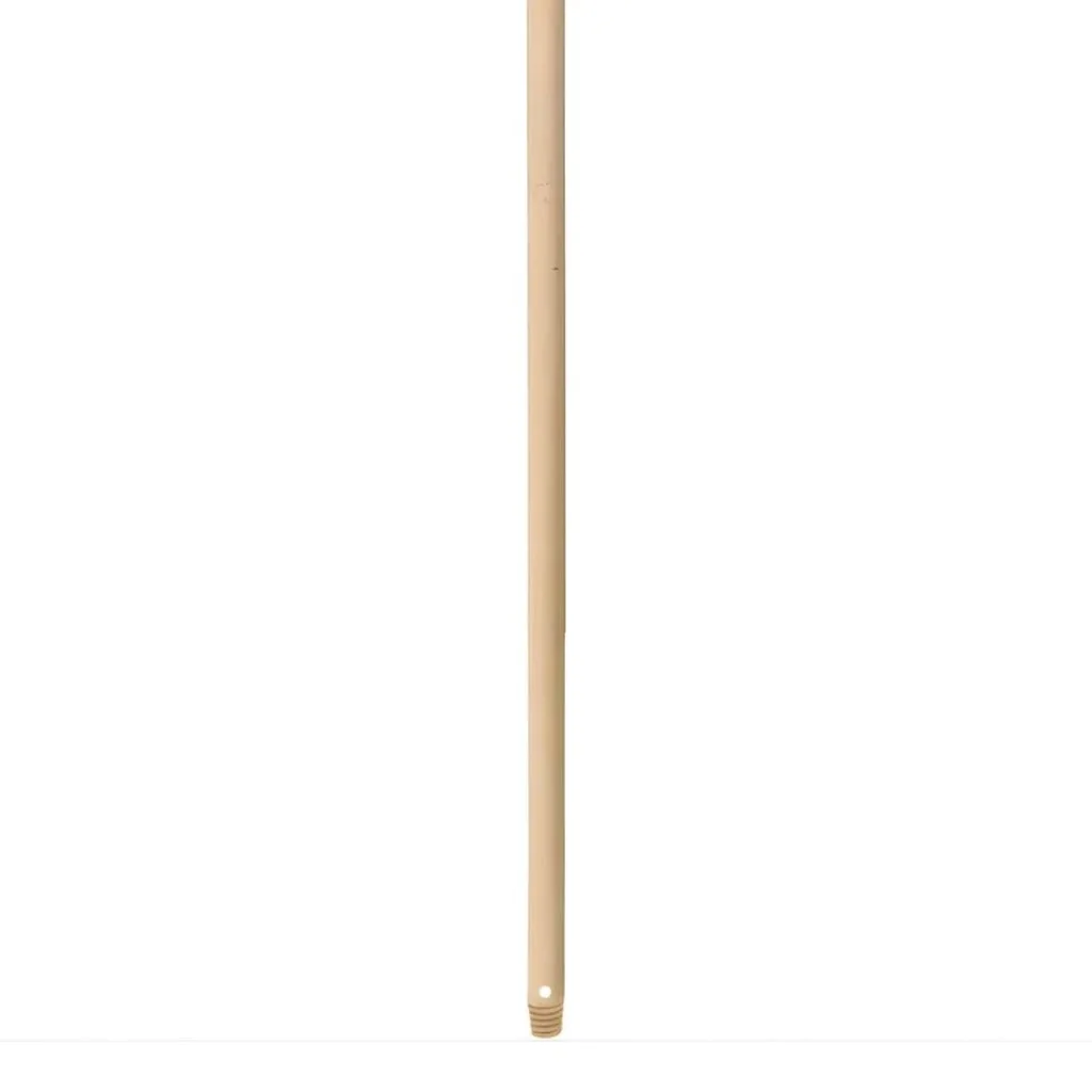 Manico Scopa Legno Grezzo Filettato 150 cm DT
