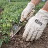 Guanti Lavoro Pelle Primo Fiore 1 Paio BRENTA