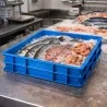 Cassetta Pizza Service Blu 60x40x10 cm PAVONI