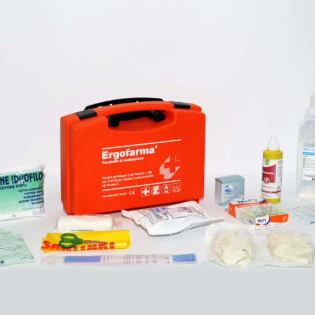 Cassetta Medica Pronto Soccorso Ergofarma Allegato 2 DT