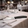 Coltello Tavola Liscio Nero Swiss Classic 11 cm VICTORINOX