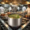 Pentola Alta Cucinart Antiaderente Induzione 2 Maniglie ABERT