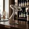 Scola Decanter in Filo Cromato - Asciuga Decanter Vino DT