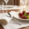 Cucchiaio Frutta 250 SALVINELLI