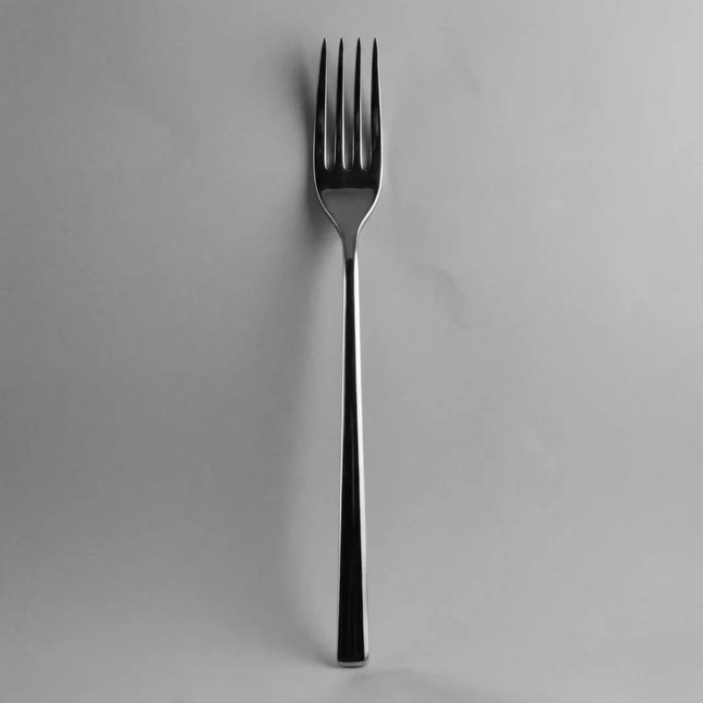 Set 12 Forchette Tavola 250 Extralungo Acciaio Inox SALVINELLI