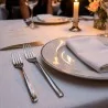 Set 12 Forchette Tavola 250 Extralungo Acciaio Inox SALVINELLI