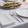 Set 12 Forchette Pesce 250 Acciaio Inox SALVINELLI