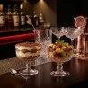 Set 2 Coppe Gelato Timeless Vetro 27,5 cl PASABAHCE