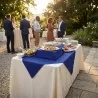 Tovaglia Coprimacchia Blu TNT 100x100 cm 25 pz DT