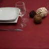 Tovaglie Monouso TNT Bordeaux 100x100 cm 25 pz DT