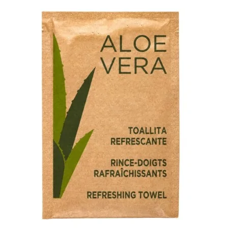 Salviette Rinfrescanti Aloe Vera Monouso 6x8 cm 500 pz GARCIA